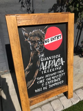A-Board Pavement Sign hand painted for Quantock Alpaca Trekking