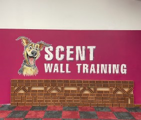 Large mural at Play The Game Dog training - Hewish