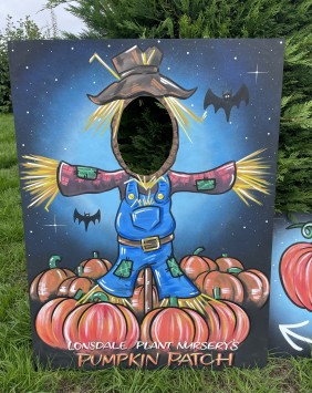 Selfie wall / face-in-hole Halloween board created for Lonsdale plant nursery
